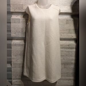 Willi Smith Textured Cream Mini Dress